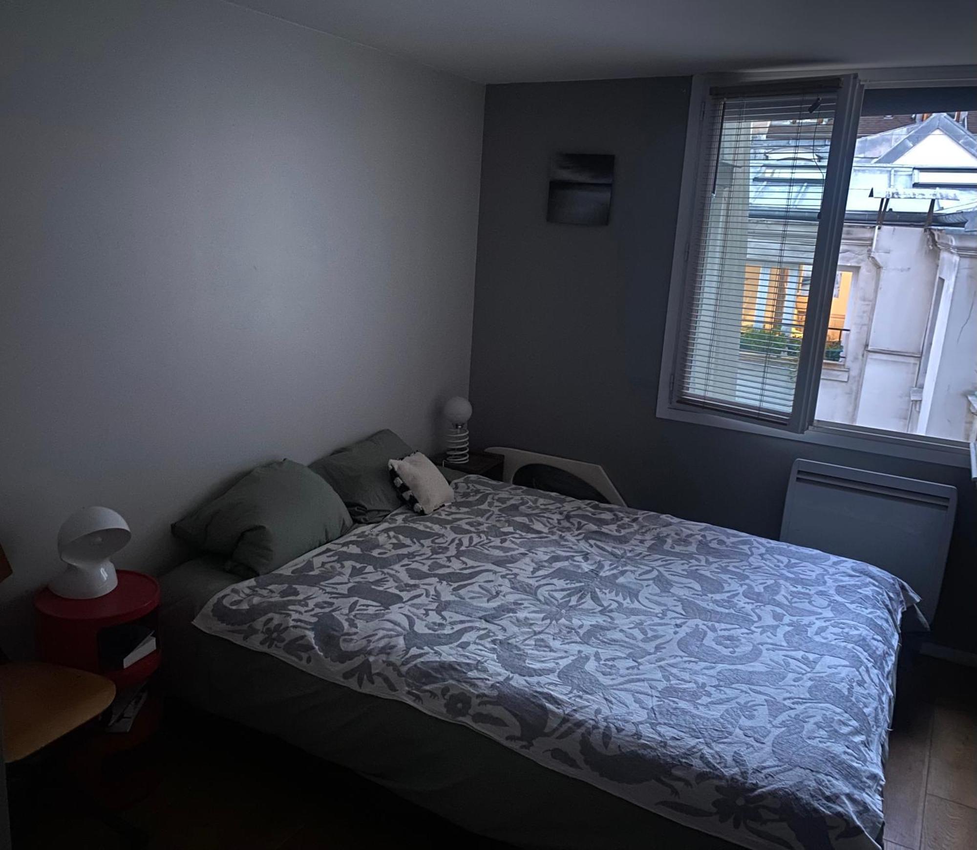Parislouvresamaritainecharme Apartment